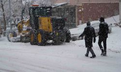 Bayburt'ta lapa lapa kar yağışı etkili oluyor