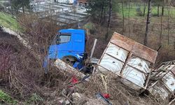 Tır şarampole devrildi, elektrik direği zarar gördü