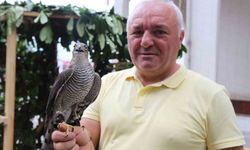 Danıştay kararı Karadeniz'de atmaca geleneğini tartışmaya açtı