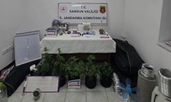 Elbise dolabında özel iklimlendirme sistemiyle yasaklı madde serası