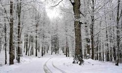 Ordu'nun 15 ilçesinde eğitime kar engeli