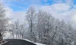 Ordu'nun yüksek kesimlerinde kar manzarası