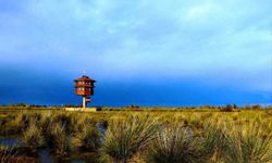 Samsun'da tabiat parklarını 186 bin 271 kişi gezdi