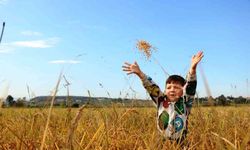 Samsun'da tarımsal üretime 6 milyara yakın destek ödemesi yapıldı