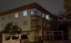 Telefonla yüksel sesle konuşma kavgasında ablasını bıçaklayıp balkondan atladı