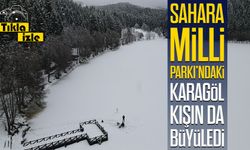 Artvin Şavşat’ta Karagöl Buz Tuttu, Beyaz Örtü Kartpostallık Manzara Oluşturdu