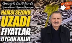 Karadeniz’de Son 20 Yılın En Uzun Hamsi Sezonu Yaşanıyor; Fiyatlar Uygun Balıkçılar Memnun