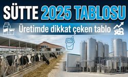 Sütte 2025 Tablosu Açıklandı: İnek Sütü Toplama Gerilerken Ayran ve Yoğurt Üretimi Rekor Seviyeye Ulaştı