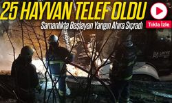 Ahırda Çıkan Yangında 25 Büyükbaş Hayvan Telef Oldu; Üretici Büyük Zarar Gördü