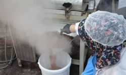 Kadın emeğiyle dünyaya açılan tat: Günde 10.000 ayva lokumu üretiliyor