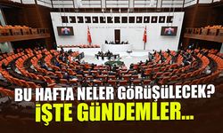Bu Hafta TBMM'de Neler Görüşülecek? İşte Gündemler...