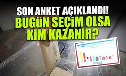 Betimar Son Anketini Açıkladı! Bugün Seçim Olsa Kim Kazanır?