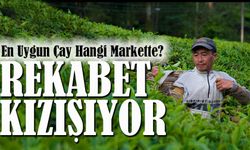 En Uygun Çay Hangi Markette? 2026 Güncel Çay Fiyatları Karşılaştırması