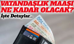 Vatandaşlık maaşı ne kadar olacak?; İşte Detaylar…