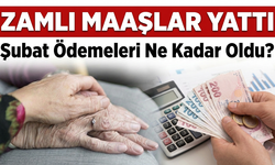 Şubat Ayı Yaşlı ve Engelli Aylıkları Zamlı Olarak Hesaplara Yatırılıyor