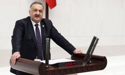 Hasan Karal’dan Fındık Fiyatı Tepkisi: “Üreten Kaybediyor, Spekülatör Kazanıyor”