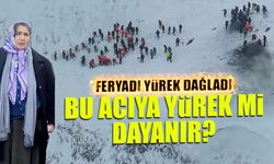 Bu Acıya Yürek mi Dayanır? Feryadı Yürek Dağladı...