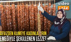 Gümüşhaneli Kadınlar Ceviz Dizerek Ev Ekonomisine Katkı Sağlıyor