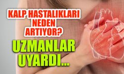 Kalp Hastalıkları Neden Artıyor? Uzmanlar Uyardı...