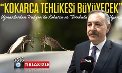 Uzmanlardan Trabzon’da Kokarca ve “Drakula” Uyarısı: "Tehlike Büyüyecek"
