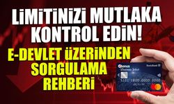 Limitinizi Mutlaka Kontrol Edin! E-Devlet Üzerinden Sorgulama  Rehberi