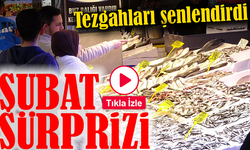 Şubat Sürprizi: Karadeniz’de Hamsi Bolluğu Tezgahları Şenlendirdi