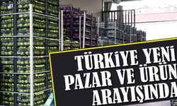 Domates İhracatı Geriliyor, Biber Öne Çıkıyor: Türkiye Yeni Pazar ve Ürün Arayışında