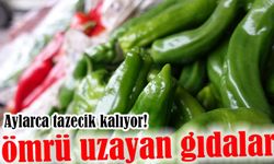 Dondurucuya Atın, Aylarca Taze Kalsın: En Çok İsraf Edilen Gıdalar İçin Pratik Çözüm