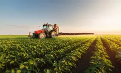 Tarımda Fiyat Alarmı! Üretici Enflasyonu Son 7 Ayın Zirvesinde