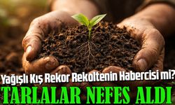 Barajlar Taştı, Tarlalar Nefes Aldı: Yağışlı Kış Rekor Rekoltenin Habercisi mi?