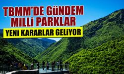 TBMM'de Gündem Milli Parklar! Yeni Kararlar Geliyor...