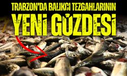 Trabzon’da Balıkçı Tezgahlarının Yeni Gözdesi Bakın Hangi Balık Oldu!