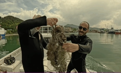 Görünmez Katil Hayalet Ağlar: Karadeniz İçin Sessiz Bir Tehdit