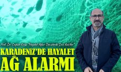 Karadeniz’in Doğal Ekosistemini ve Biyoçeşitliliğini Korumak İçin Hayalet Ağları Temizlemek Gerekli
