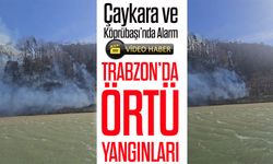 Trabzon’da Örtü Yangınları: Çaykara ve Köprübaşı’nda Alarm
