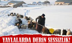 Yaylalarda Derin Sessizlik! Yazın Cıvıltısı Yerini Beyaz Huzura Bıraktı
