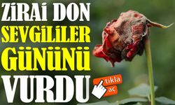 Zirai Don Gülleri Vurdu, Sevgililer Günü’nde Fiyatlar Yüzde 50 Arttı