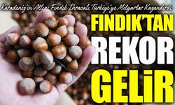 Karadeniz’in Altını Fındık İhracatı Türkiye’ye 1,17 Milyar Dolar Kazandırdı