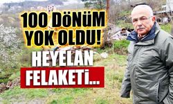 100 Dönüm Yok Oldu! Ordu'da Heyelan Felaketi...