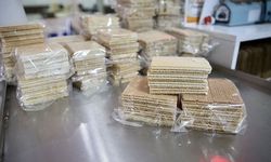 O Marka İçin Yolun Sonu Geldi: Mahkeme İflası Onayladı