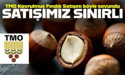 TMO’dan 750 TL’lik kavrulmuş fındık satışı savunması: “Piyasaya etkisi yok”