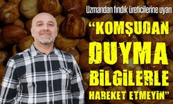 Uzmandan Fındık Üreticilerine Kritik Uyarı!; “Komşudan Duyma Bilgilerle Hareket Etmeyin”