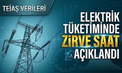 TEİAŞ Verileri Ortaya Koydu; Elektrik Tüketiminde Zirve Saat Açıklandı