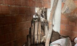 Çatalpınar'da ağılın çökmesi sonucu 4 küçükbaş hayvan telef oldu