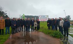 Terme'de hatıra ormanında fidan dikim etkinliği düzenlendi