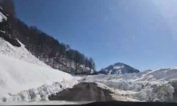 Artvin'de Macahel geçidi yeniden ulaşıma açıldı