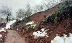 Fatsa'da heyelan bilançosu: 45 mahallede 92 nokta etkilendi