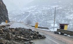 Gümüşhane'de heyelan karayolunu kapattı