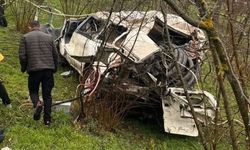 Ordu'da minibüs fındık bahçesine yuvarlandı: 2 yaralı