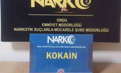 Ordu'da uyarıcı madde operasyonlarında 2 tutuklama
